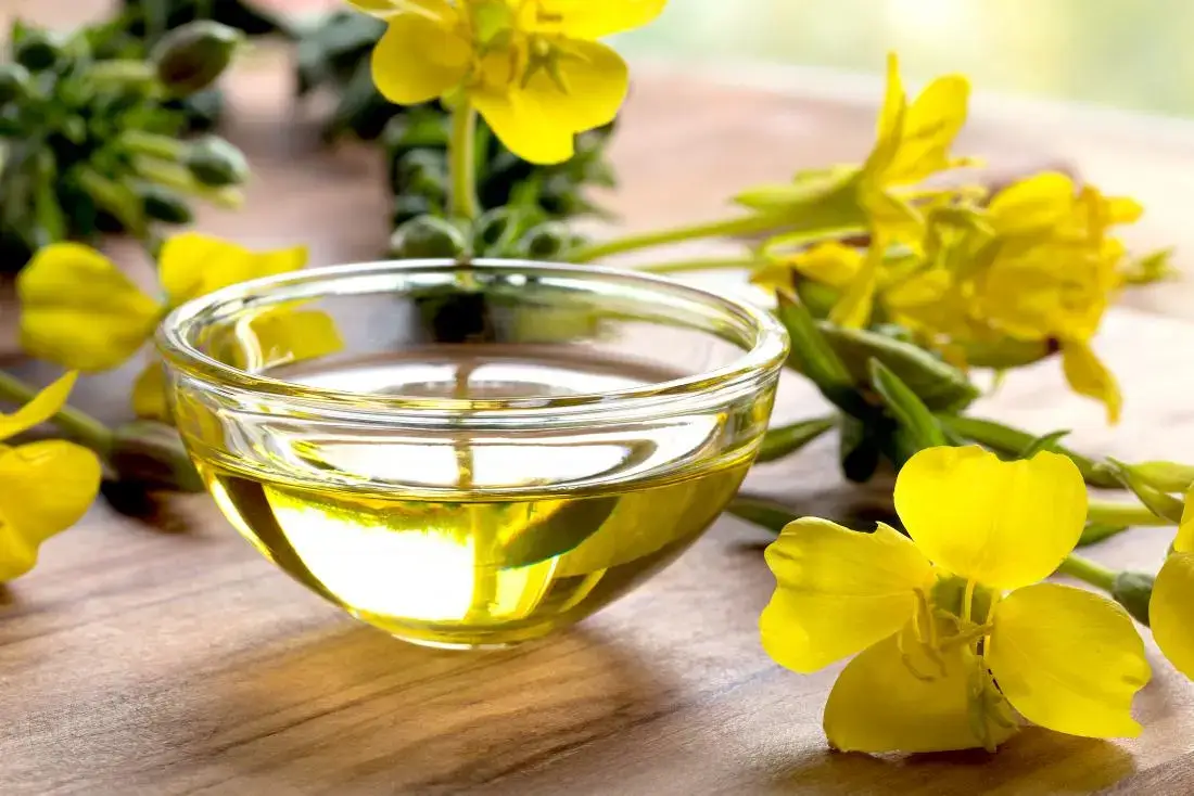 khasiat Evening primrose oil untuk wanita